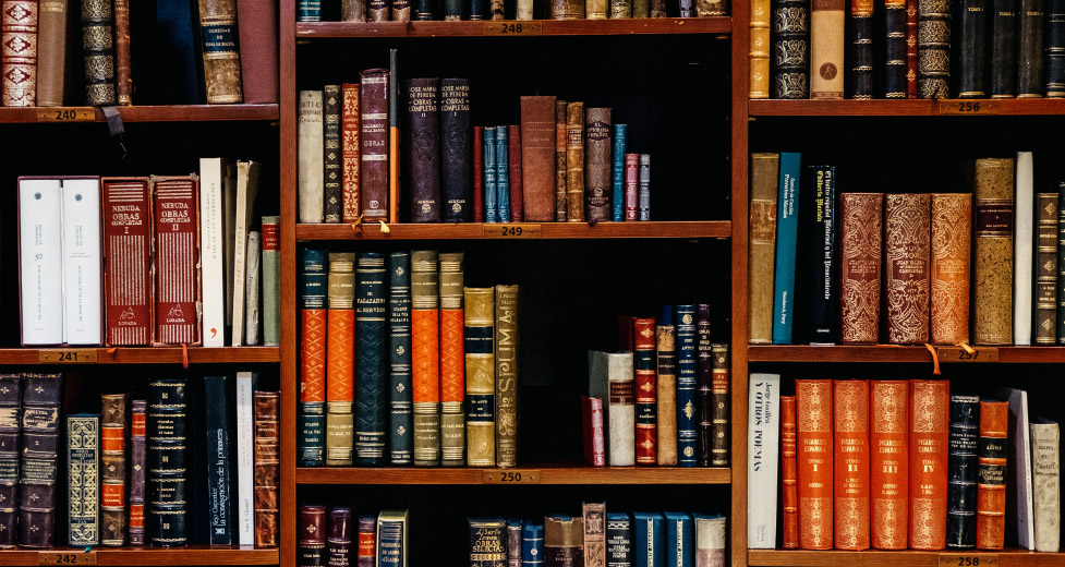 Visit Powell, Wyoming