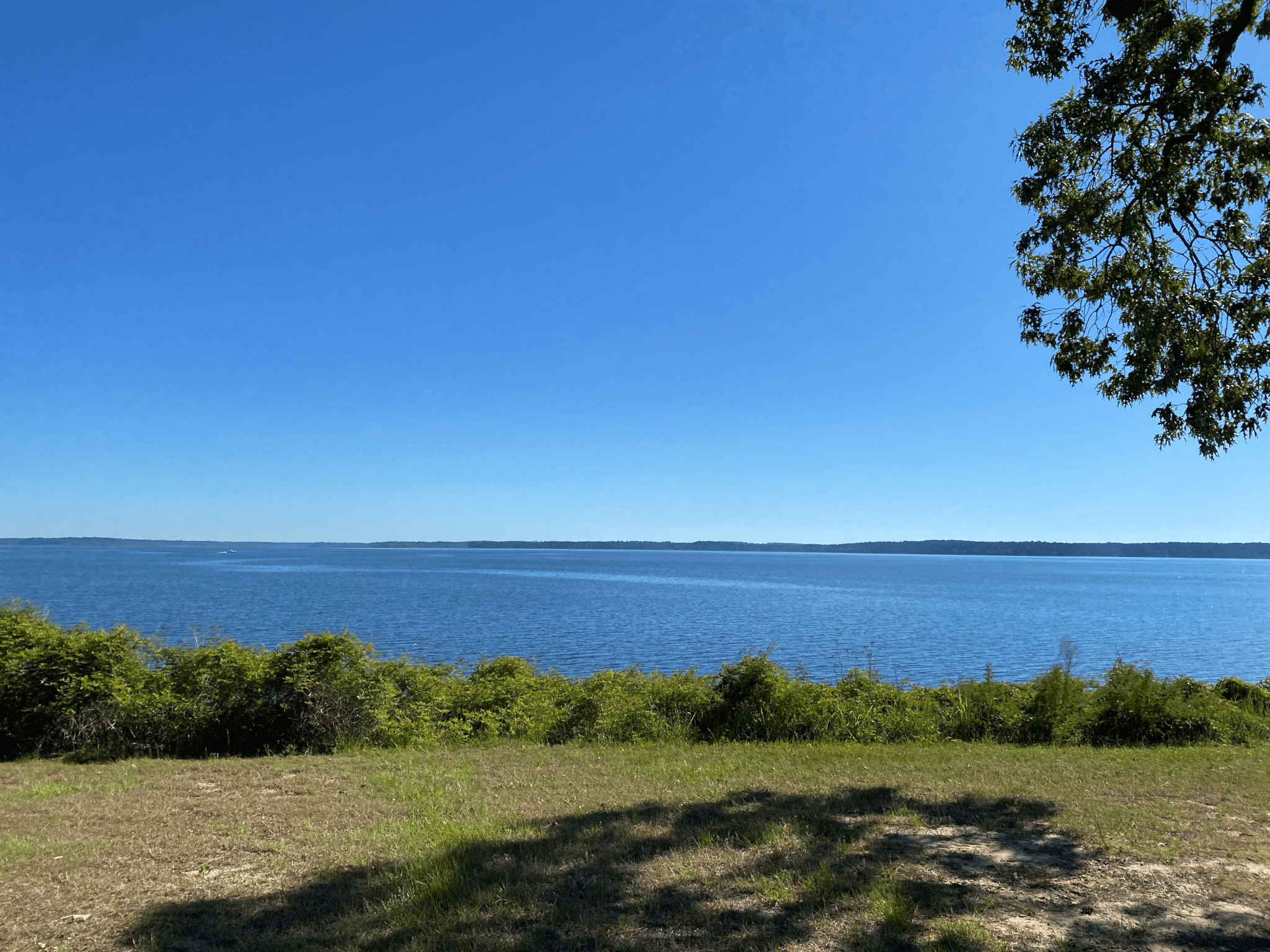 Gallery Powell Marina