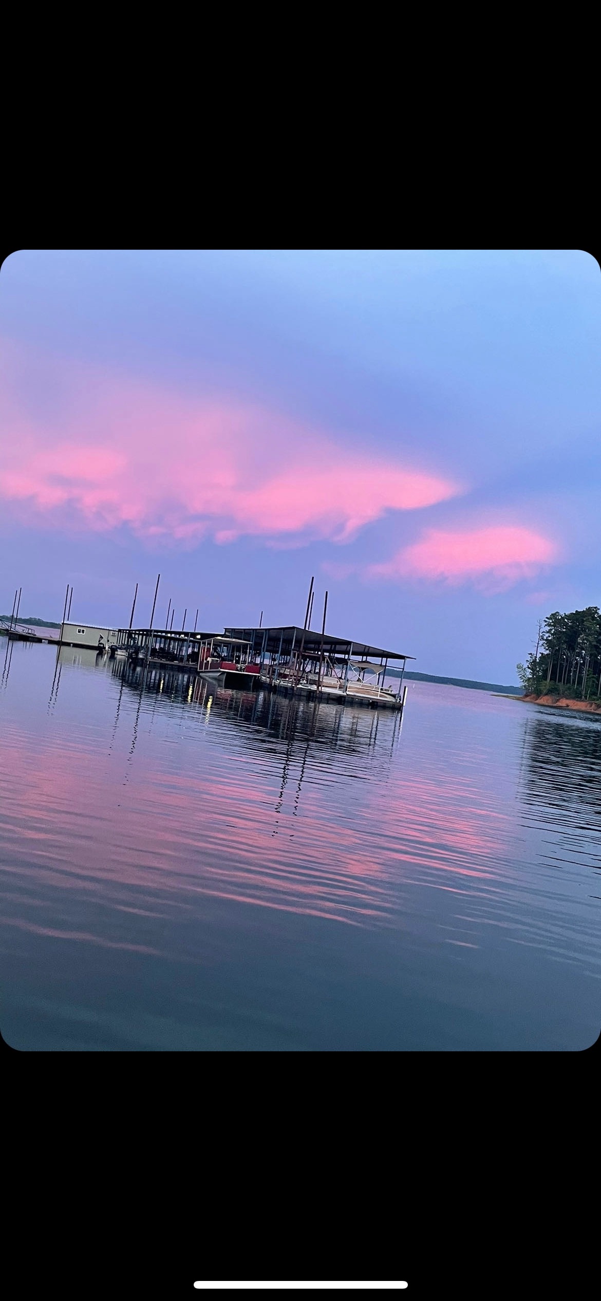 Gallery Powell Marina