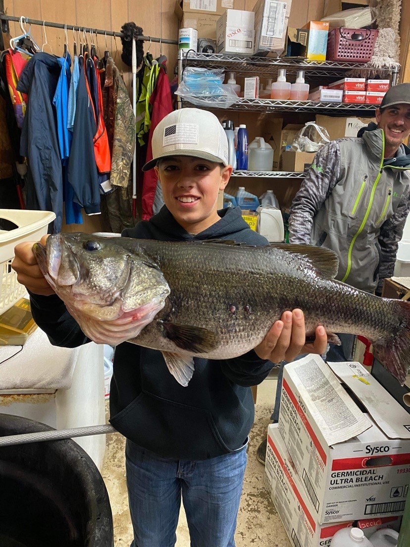 Gallery Powell Marina