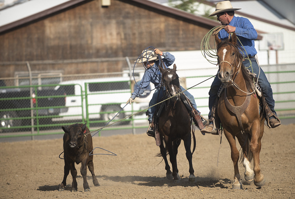 Ranch Rodeo returns Powell Tribune
