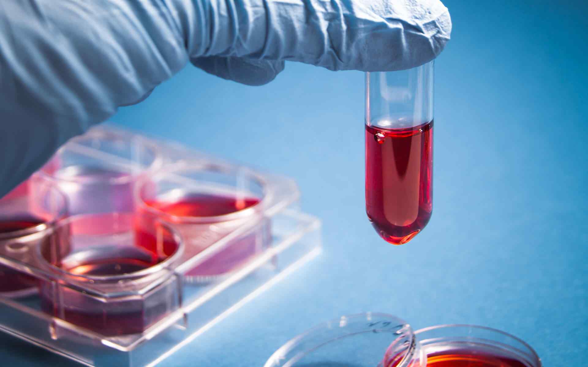 10 Cool Jobs in Science You Didn’t Know Existed