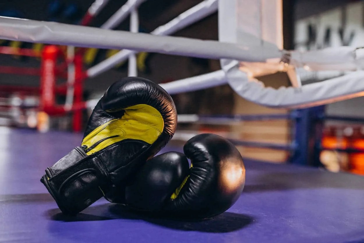 Where to buy the best boxing gloves in bulk from the market Poweraptor