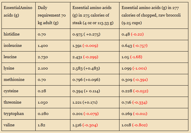 Animal Protein vs. Plant Protein