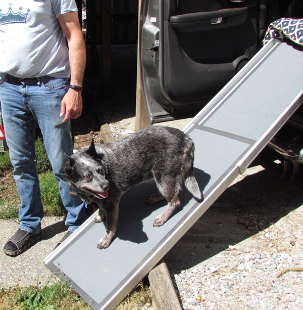 Solvit Deluxe XL Telescoping Pet Ramp Review Powered By Mom