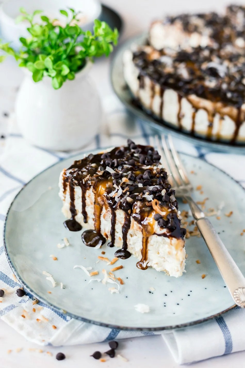 No Bake Samoa Cheesecake Recipe Powered By Mom