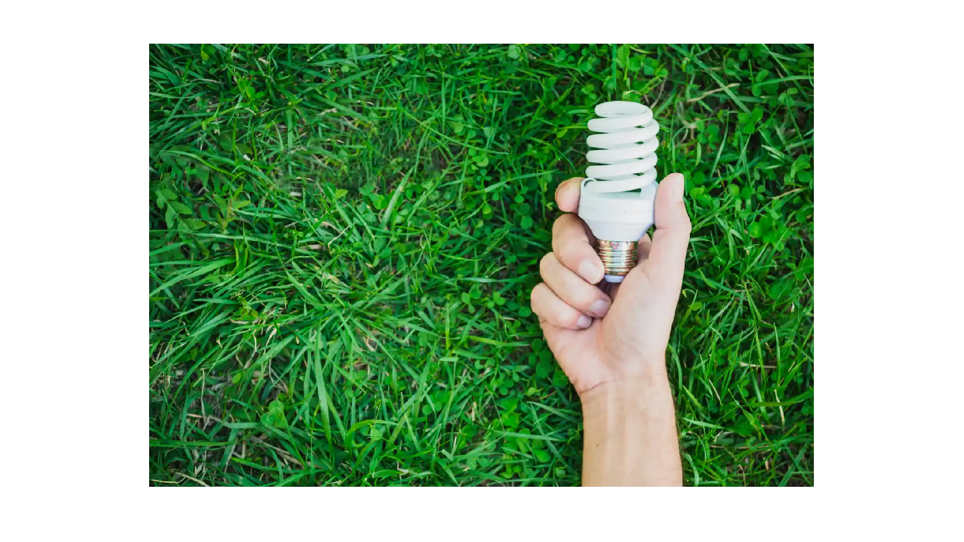 Are Fluorescent Light Bulbs Energy Efficient Shining a Light on Efficiency Power Efficiency