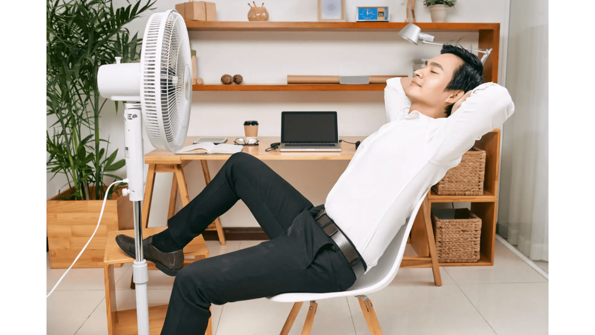 How Much Does a Fan Use in Electricity The Ultimate Guide to Slash