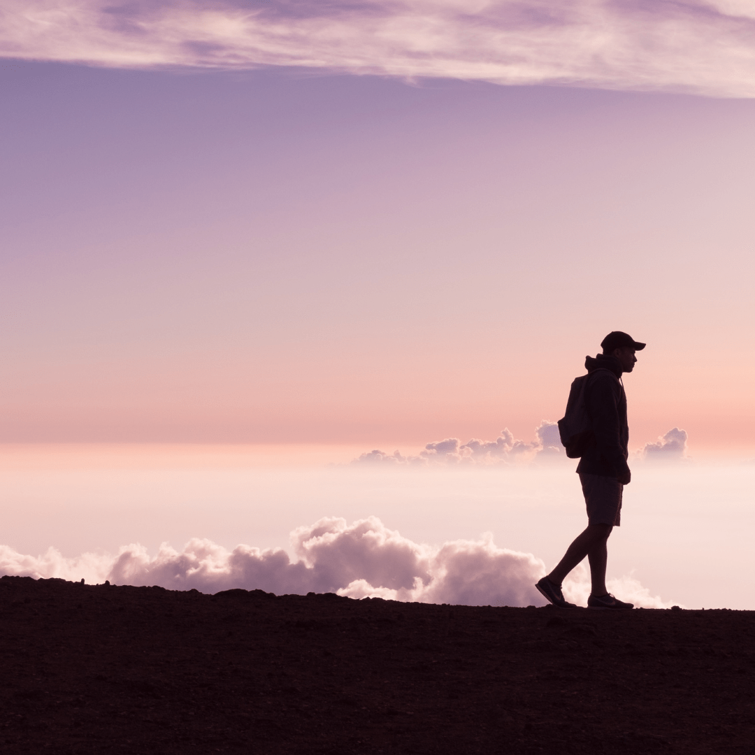 Root Cause Therapy POWERFULLY ALIGNED HEALING