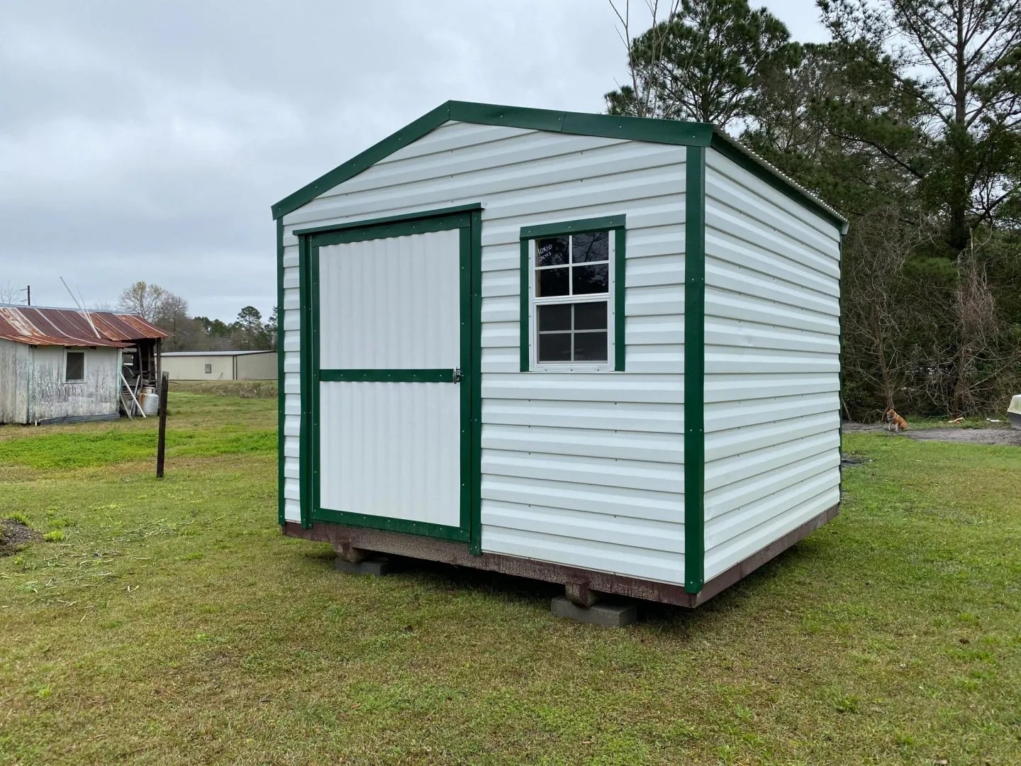 Handi House New Type Eve Building 10 x 10