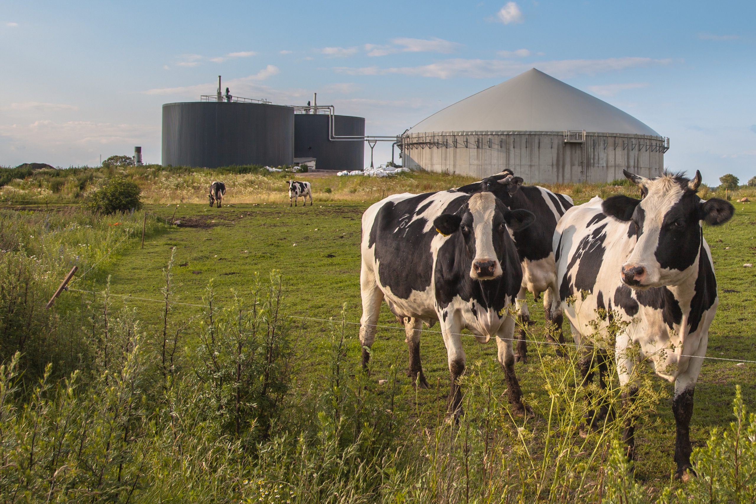 Six Reasons Anaerobic Digesters Aren't as Environmentally Friendly as