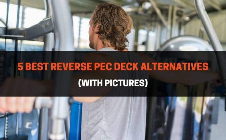 5 Best Reverse Pec Deck Alternatives (With Pictures