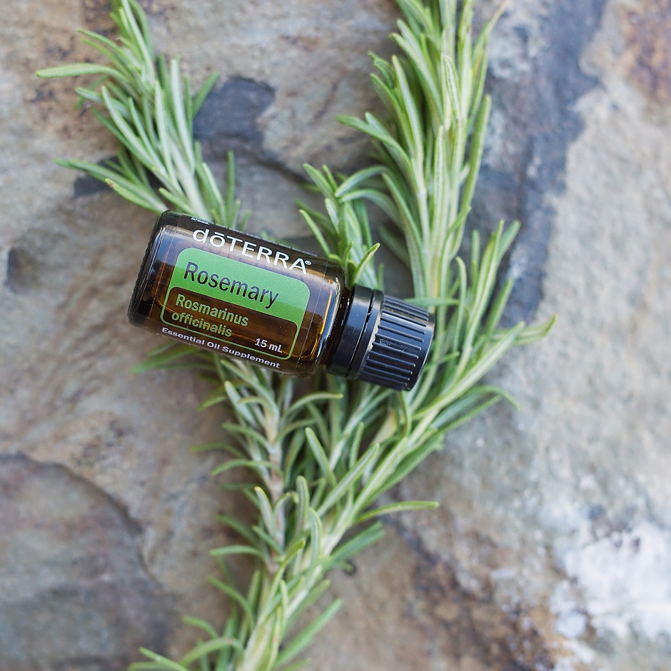 Rosemary Essential Oil Essentially YOURS