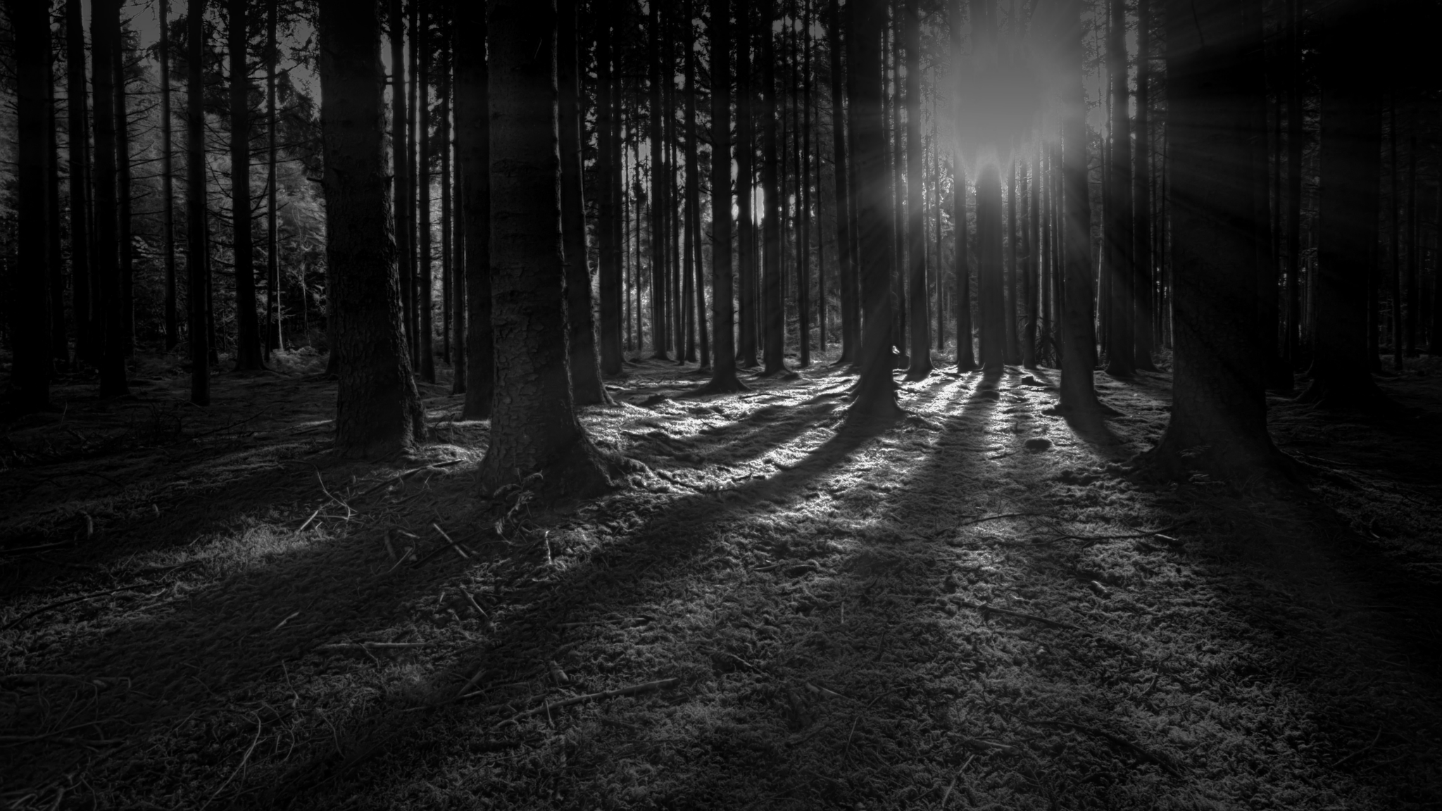 Power Monitors, Inc Power Quality Analyzers and Monitors Wireless Power Quality Measurement