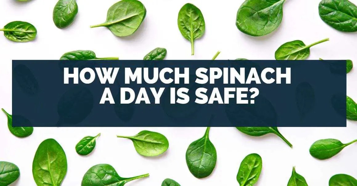 How Much Spinach A Day Is Safe? Power Of Greens