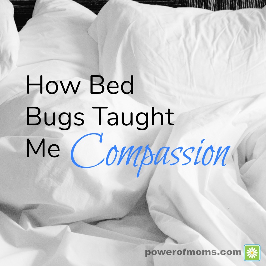 How Bed Bugs Taught Me Compassion Support for Moms Power of Moms