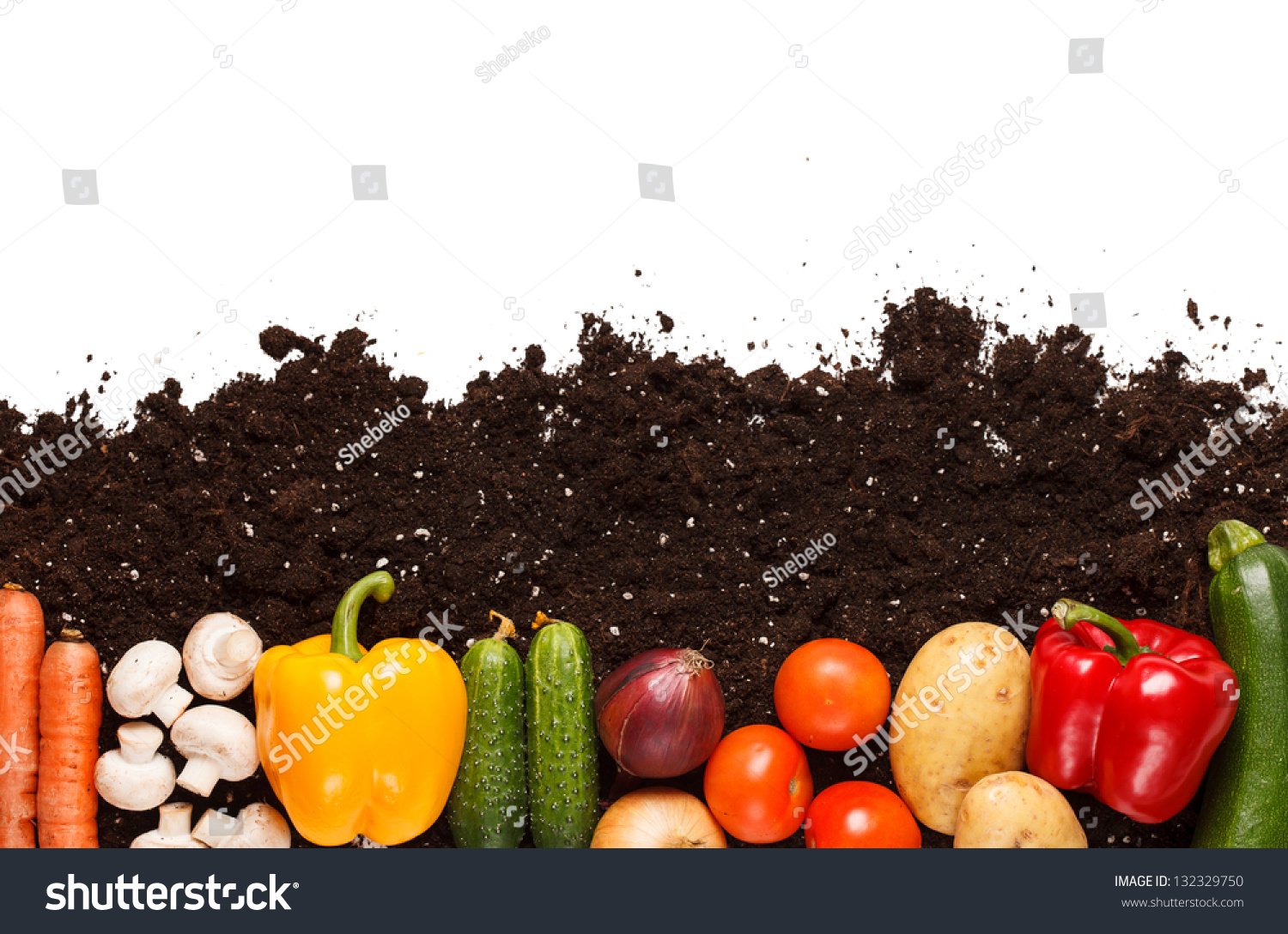 PowerPoint Template vegetable garden vegetables on the (ikjkjuomh)