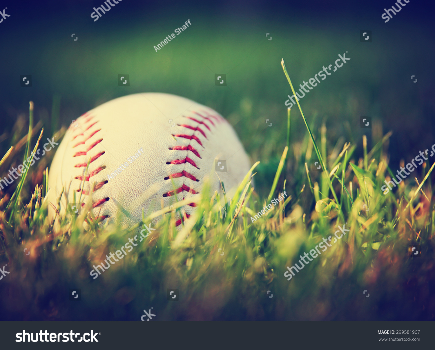 PowerPoint Template softball baseball in a grass (juumpiuno)