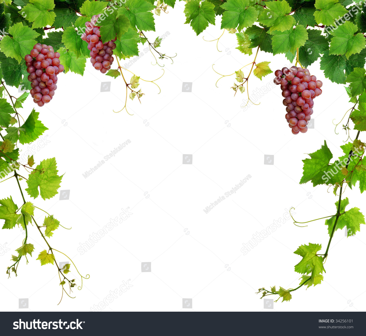 PowerPoint Template grape vine fresh grapevine border isolated (kljmnihi)