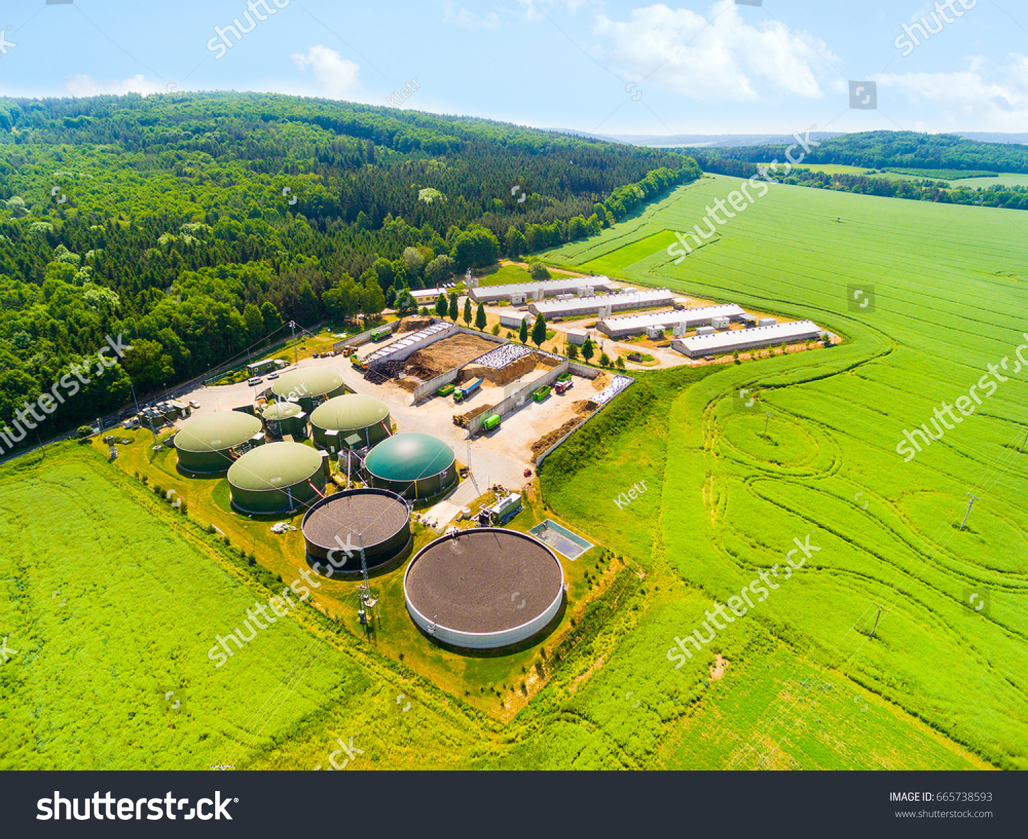 PowerPoint Template biofuels green fields renewable energy (nnmokpmuk)