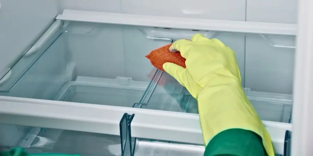 Is It Safe To Clean A Refrigerator With Bleach? Fridge Care Tips