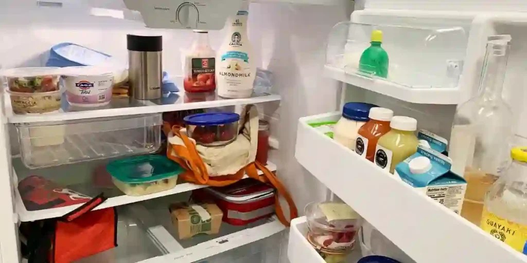 Is It Safe To Clean A Refrigerator With Bleach? Fridge Care Tips