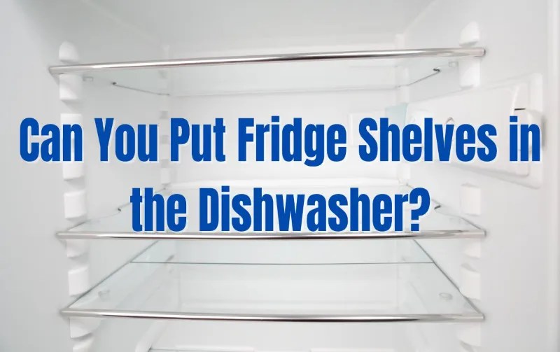 Can Fridge Shelves Go In The Dishwasher? Quick Cleaning Guide!