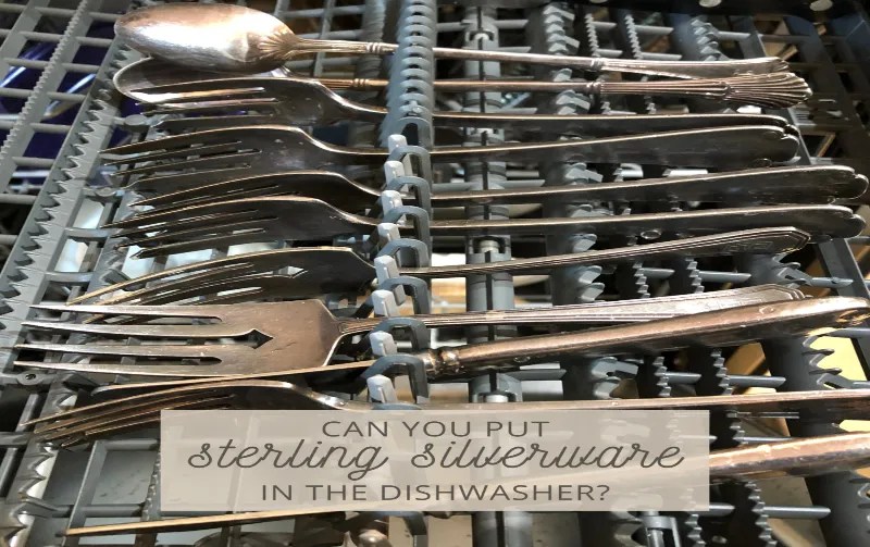 Can Sterling Silver Go In The Dishwasher? Best Practices Revealed