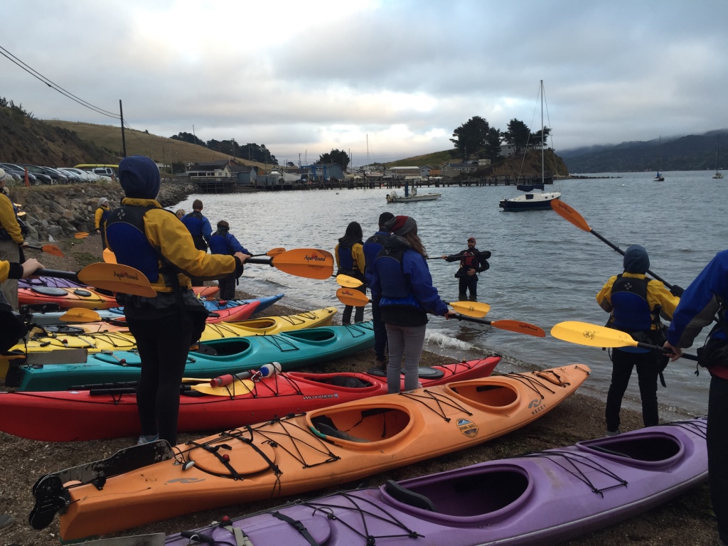 Bioluminescent Night Kayaking in Tomales Bay • Powersbeing