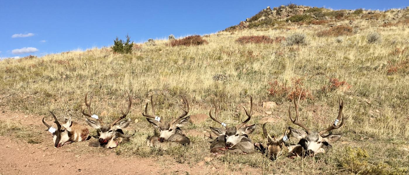 Ash Creek Ranch Powers Land Brokerage