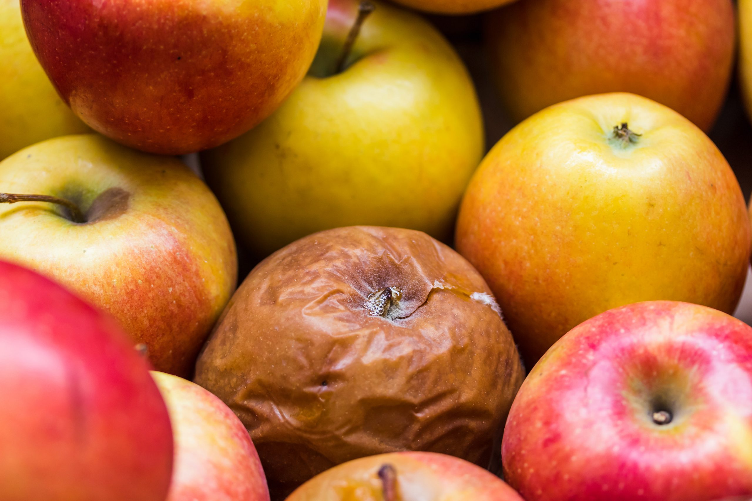 A rotten Apple among the other fresh apples. Power Sponsorship