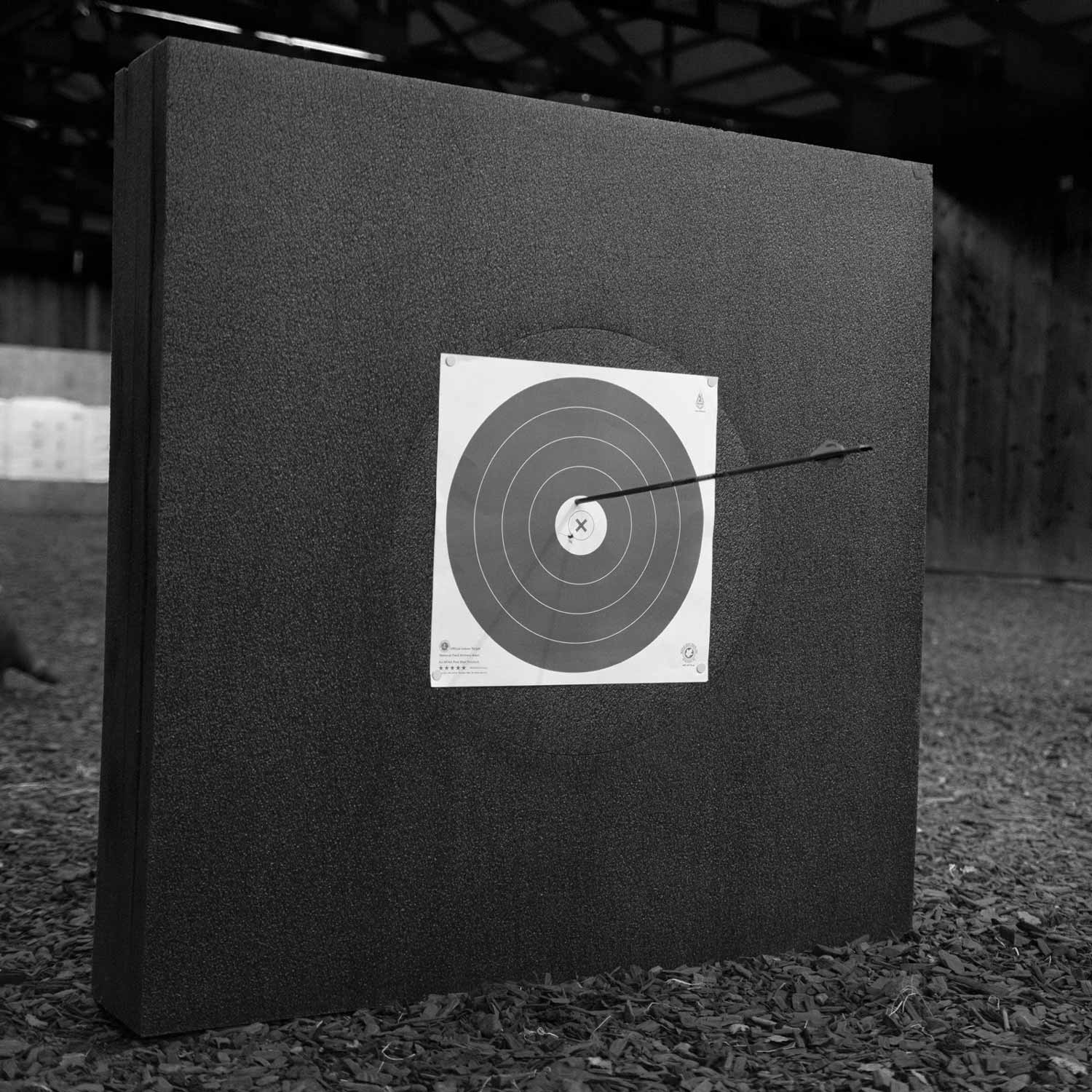 Field Target 48123 PowerStop Archery Targets
