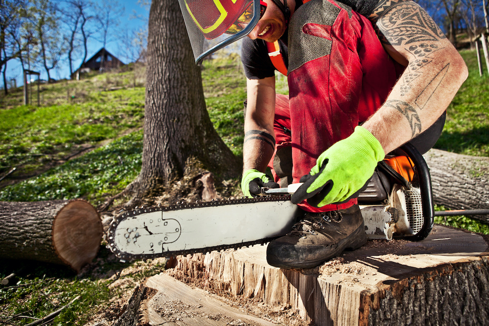 How To Sharpen a Chainsaw With a Dremel A Beginner's Guide Power