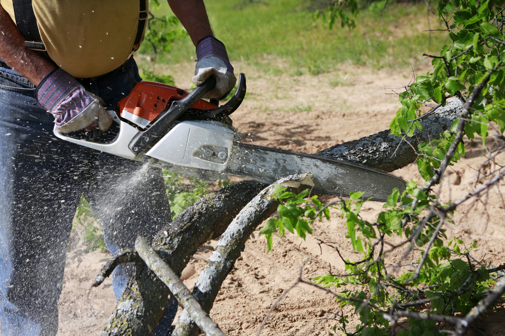 Chainsaw Safety Tips That Will Keep You Safe Our Top 10 List