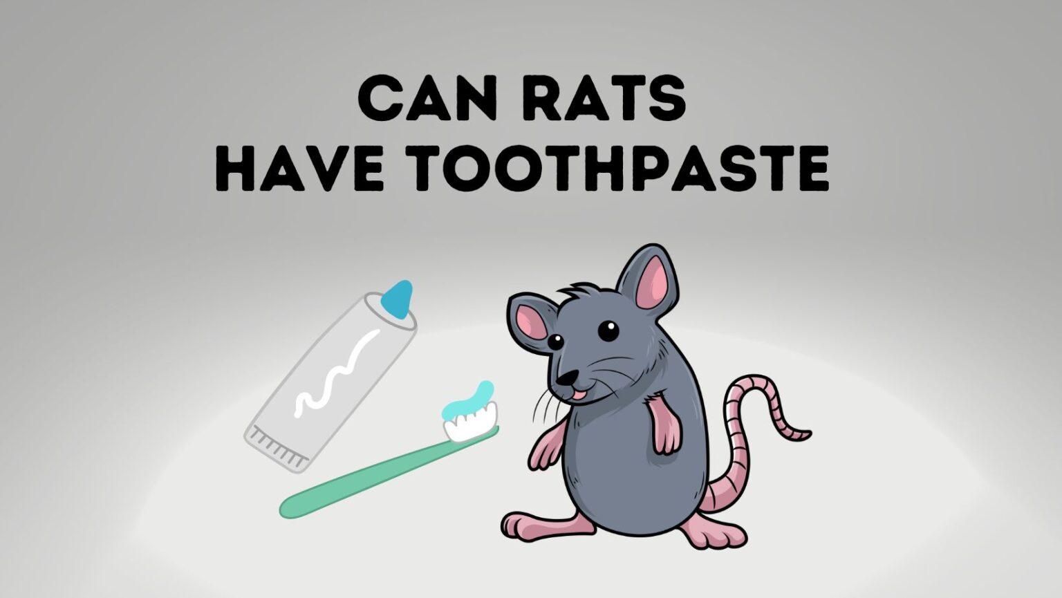Can Rats Have Toothpaste? Pros And Cons Power Tooth Paste