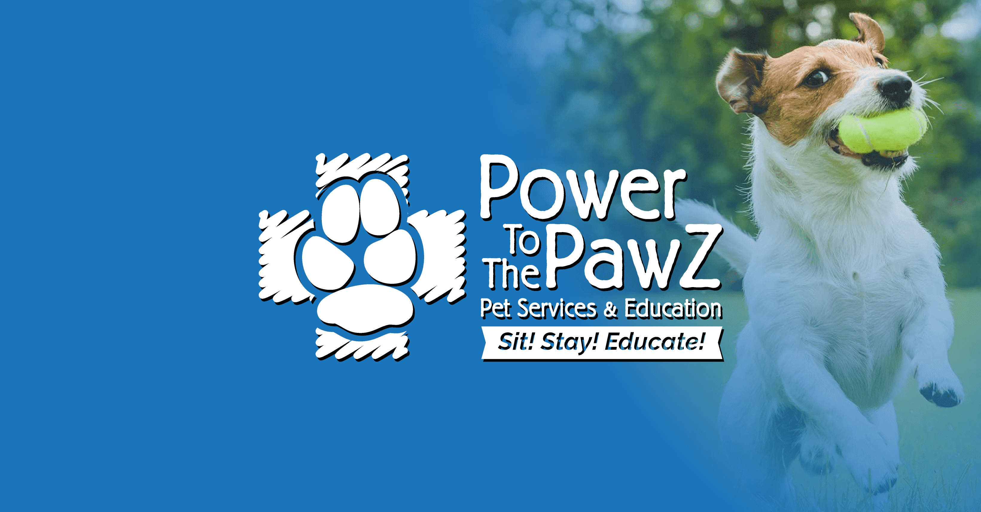 camp bow wow flower mound reviews Heidy Pruett