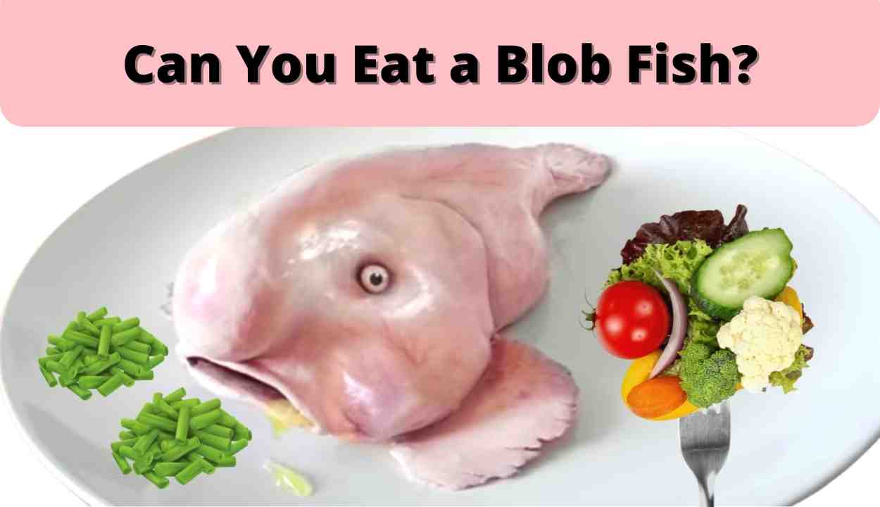 Can You Eat A Blobfish Power Up Cook(011)