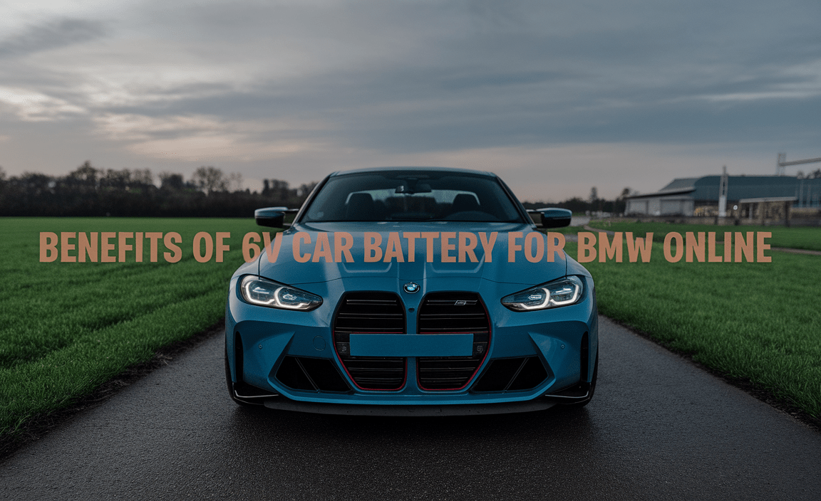 Benefits Of 6V Car Battery For Bmw Online