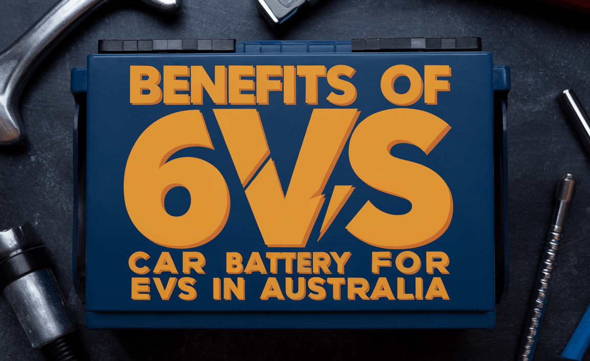 Benefits Of 6V Car Battery For Evs In Australia