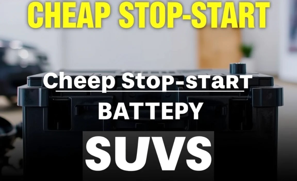 Cheap Stop-Start Battery for SUVs: Essential Guide