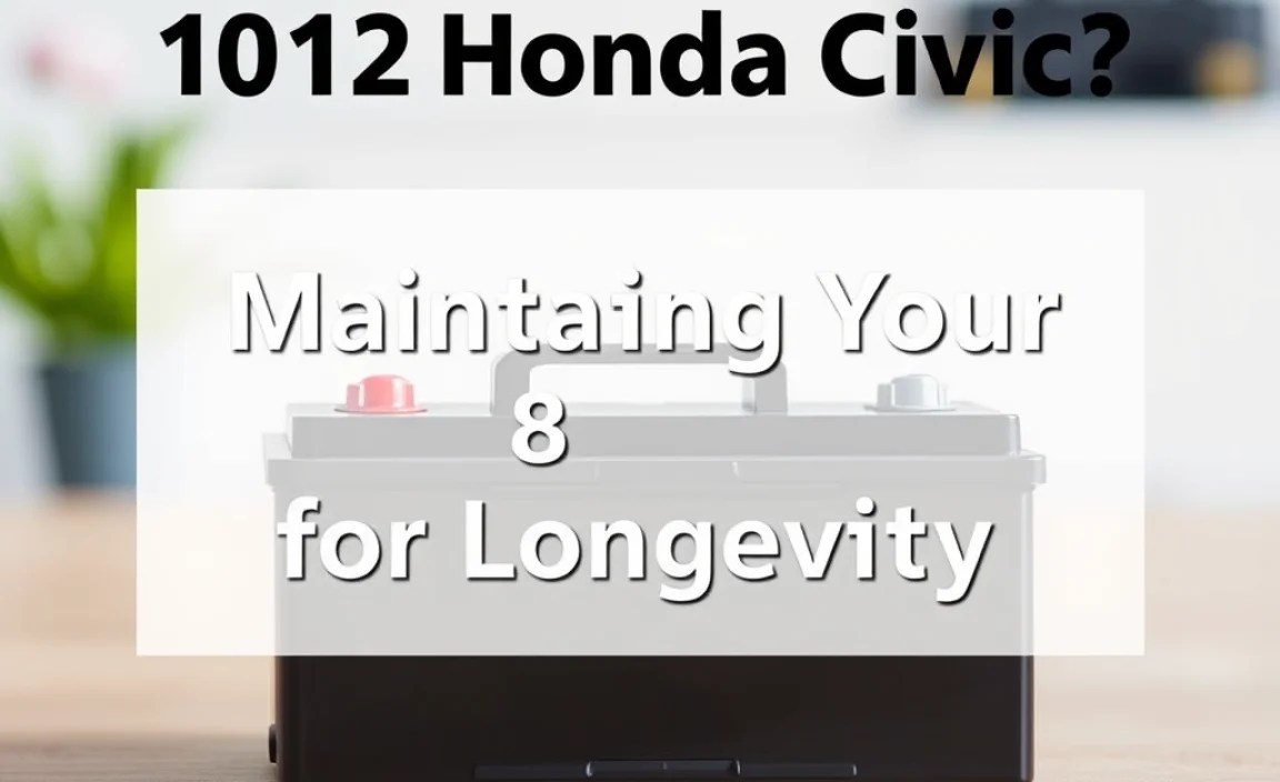 Maintaining Your Battery for Longevity