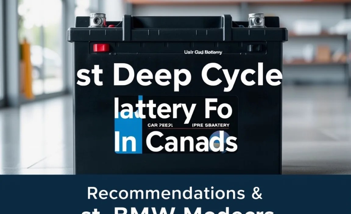 Recommendations for BMW Models