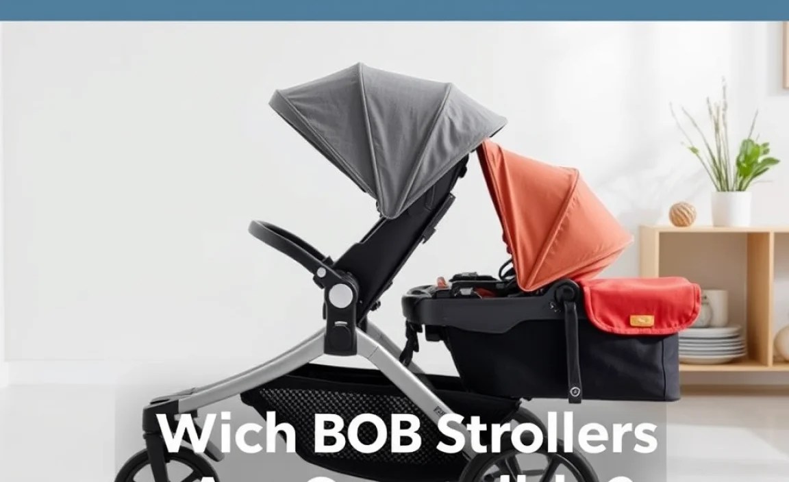 Which BOB Strollers Are Compatible?