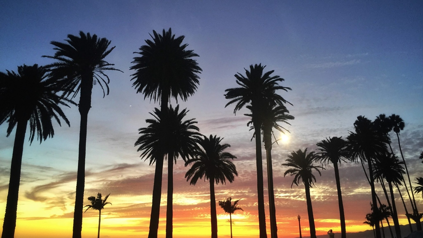 Naturally Native FULL MOVIE 