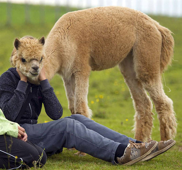 most confusing photos 8 - Powws