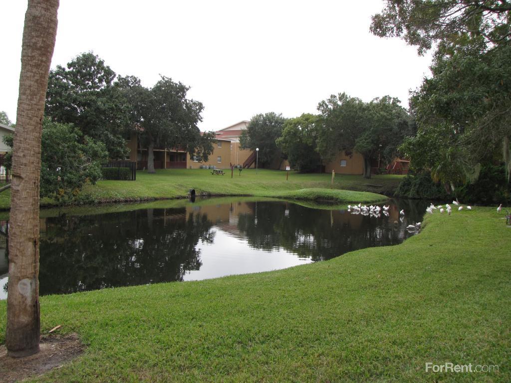 Autumn Chase Apartments, Largo FL Walk Score
