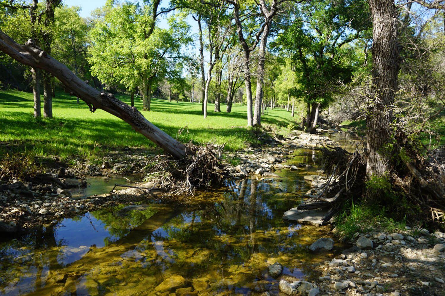 TexasRanchcreekandPasture Paramount Property Analysts