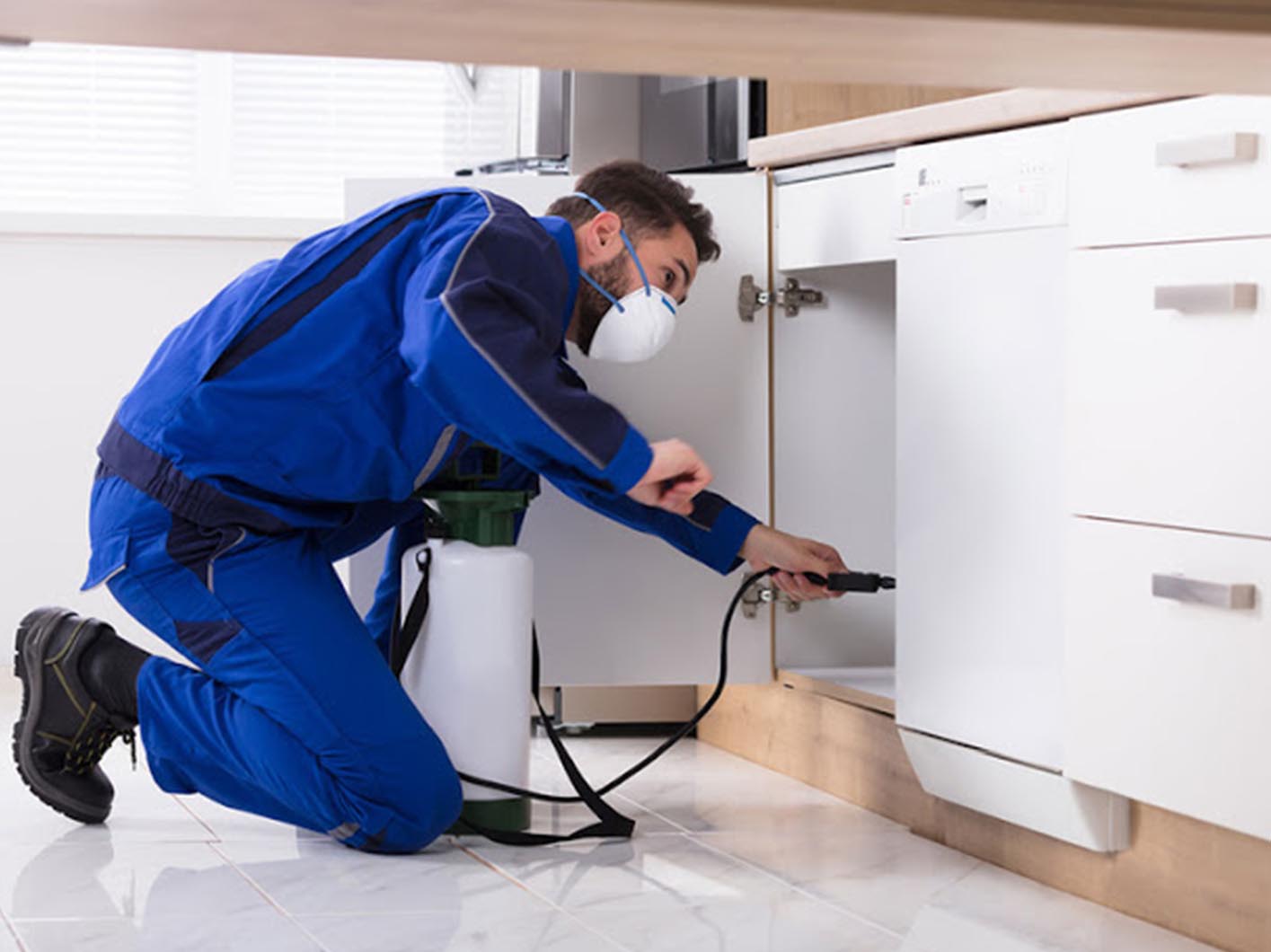 Residential Pest Control Service Perfect Pest Control Services in