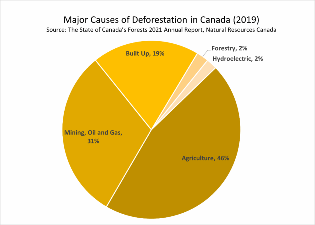 Sustainable Forest Management and Climate Change The Paper and