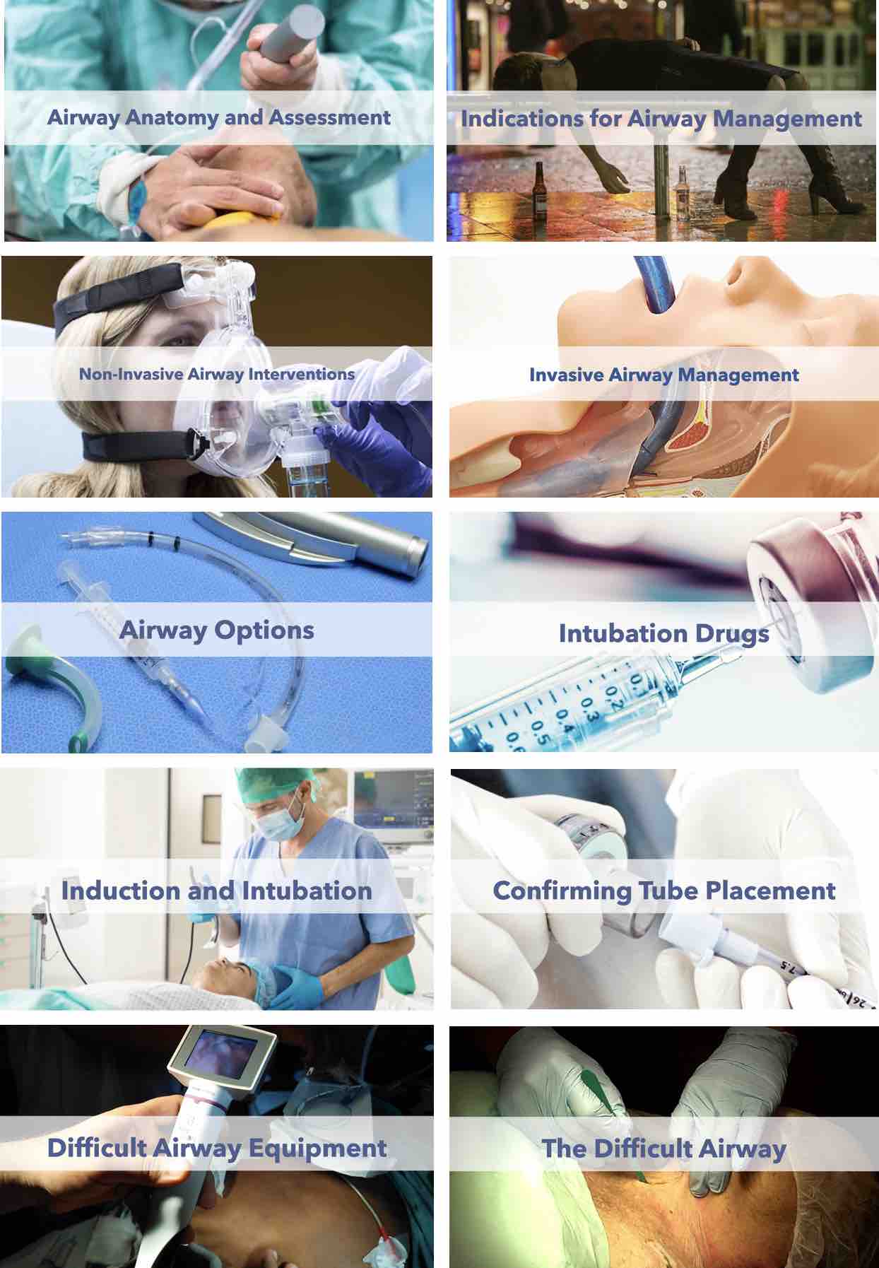 Furuncle Treatment Dog Online Shop clc.cet.edu